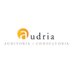 AUDRIA Auditoría y Consultoría (@audriaaudit) Twitter profile photo AUDRIA Auditoría y Consultoría (@audriaaudit) Twitter profile photo