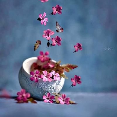 ✨Nothing is impossible, the word itself says I'm possible..✨