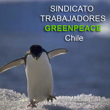 STGPCL's profile picture. Sindicato de Trabajadores Greenpeace Chile begin_of_the_skype_highlighting     end_of_the_skype_highlighting