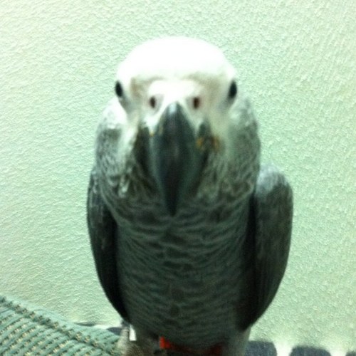 ka66sa's profile picture. 