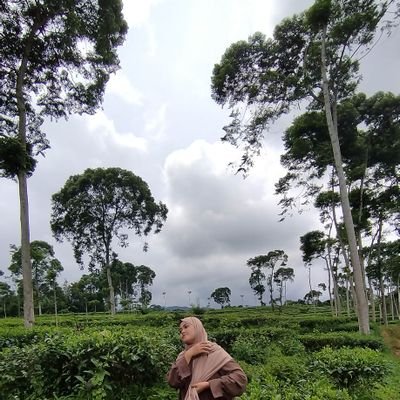 okyayuwd's profile picture. 