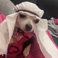 RG (@raguerrer) 's Twitter Profile Photo