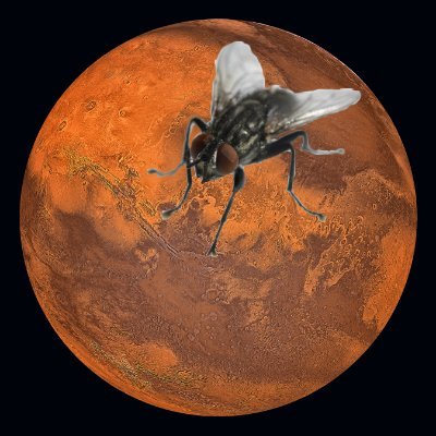 Fly_From_Mars Profile Picture