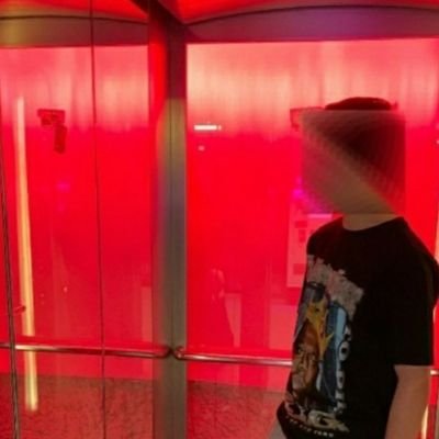 TorchVfx's profile picture. 