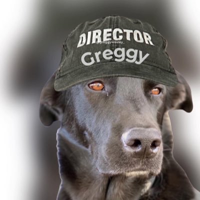 Not PAUL WESLEY or Greggy Just a fan of both ♥️🐾♥️All about Greggy so Paul doesn’t have to. Instagram @greggywesley_