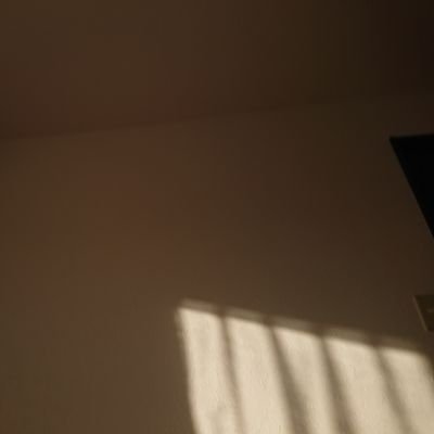 不安がしんどい人さんのプロフィール画像