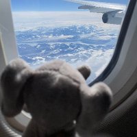 casafant (@casafant) 's Twitter Profile