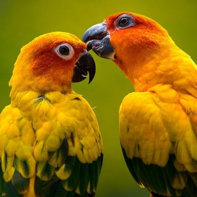 SRBarik76's profile picture. hunting @LifeFormsNFT REFLECTED