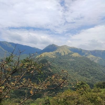 Ranjuudupak's profile picture. 