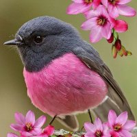 Елена (@helendear888) 's Twitter Profile