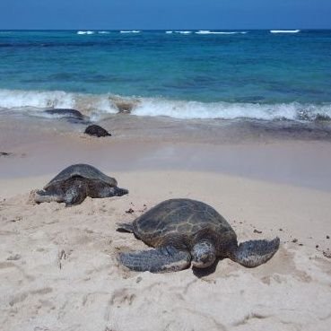 ALOHA🤙✨子どもたちとの旅行プランや遊びに行く事を考えるのが好きな主婦です😊🎶ハワイ🏝沖縄🌊温泉♨️ディズニー🏰ピューロランド🎀X JAPAN🙅💕大好き❣️数年ぶりにダンス復帰💃どうぞよろしくお願いいたします🌺いいねして頂いた方、無言フォロー失礼いたします🍩🌈🥰※変なお姉さん方は🆖です