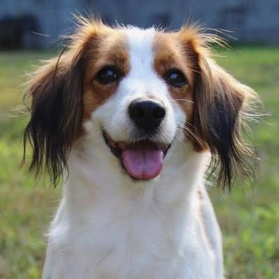 tomohir3325's profile picture. 知らない人と繋がりたい/サッカー好き