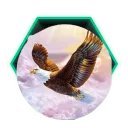 dylanwatson1291's profile picture. Student