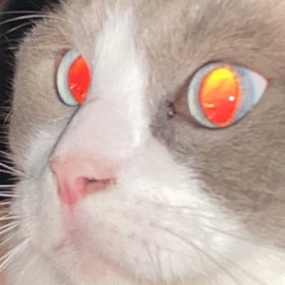 exCVapDoZhSTChX's profile picture. カードを集めています。並べるだけです。