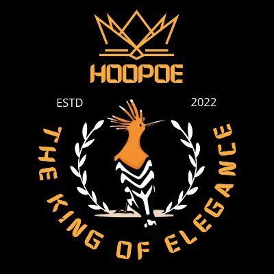 KingHoopoe's profile picture. Hello there! My name is Abdelkrim and I am the person behind Hoopoe. With a PhD in mechanical engineering and over two years of experience in the t-shirt design