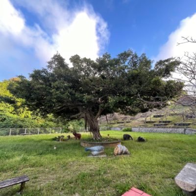 MkumaSさんのプロフィール画像