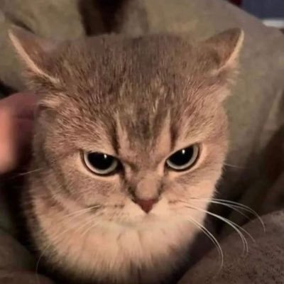 darendrab's profile picture. yall not real