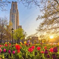 PittNeuroscience (@pittneurosci) 's Twitter Profile