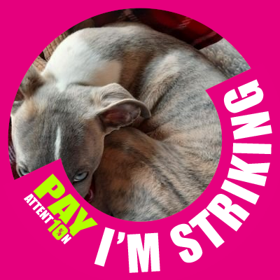 luxa_rosemburg's profile picture. I can eat my dinner in a fancy restaurant.
she/her.
Tweets auto-delete