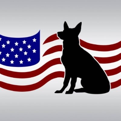 Shepherd9nine's profile picture. 