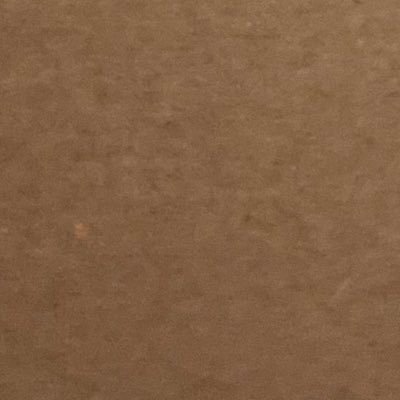 otter_topp's profile picture. 