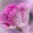 b61523369's profile image