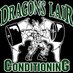Dragon's Lair (@dragonslairssc) Twitter profile photo