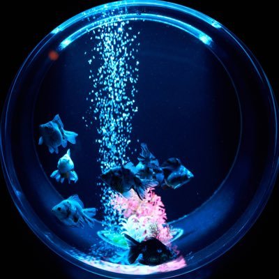 MottyMellow's profile picture. Meiji FMS 7th/myst→igrs→ex 100kw/https://t.co/FUWnpXX0fX