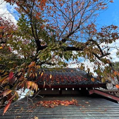 chenjinhong006's profile picture. 