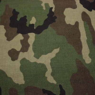 Priyans30711320's profile picture. Dream it, believe it, do it⚔️