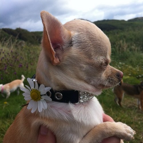 LynneLockerby's profile picture. Im blessed with all the people i have in my life, and all the people that have passed into the next life, that iv had the pleasure of knowing. xx