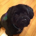 jami silva - @jamiannsilva - Twitter