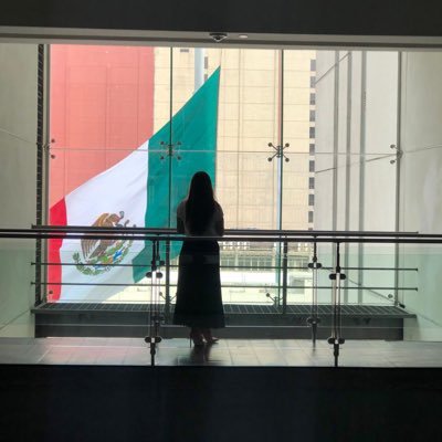 Comercio Internacional 🌐 Mexicana 🇲🇽 ¡Permite conseguir tus sueños o nadie más lo hará ! 🙌🏼✨