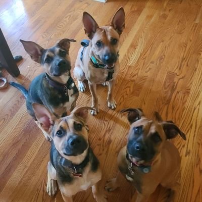 nldavis113's profile picture. 