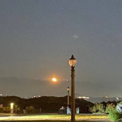 s0LoS__'s profile picture. 