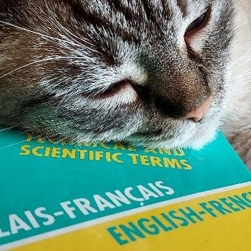 English to French game translator. Linguist.
21 yrs of exp. 100+ games translated.
Alan Wake II. SH2 Remake. Dredge. Batman.
I play games and I translate them.