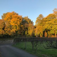 Felicity ✨ Freelance writer (@distractedflick) 's Twitter Profile