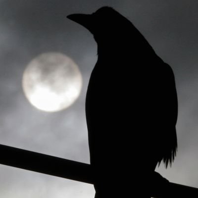 @Roaming_Crow