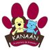 Protectora Kanaán (@kanaanprote) Twitter profile photo Protectora Kanaán (@kanaanprote) Twitter profile photo