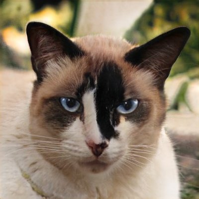 Jennife55798173's profile picture. 