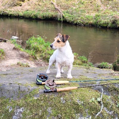Guided fly fishing across Dartmoor and the Teign valley.