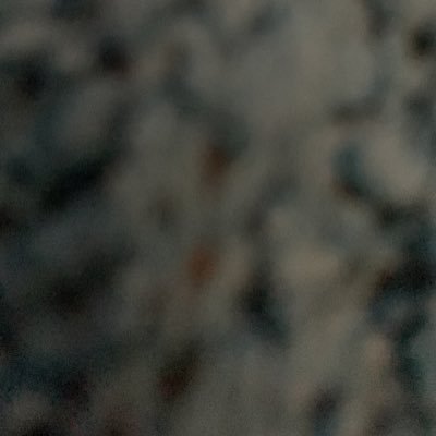 borgdeva's profile picture. 