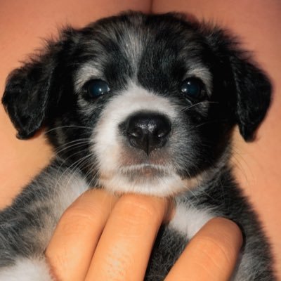 Mari_Assun's profile picture. 