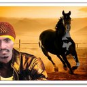 abady hamed nour - @al3reed - Twitter