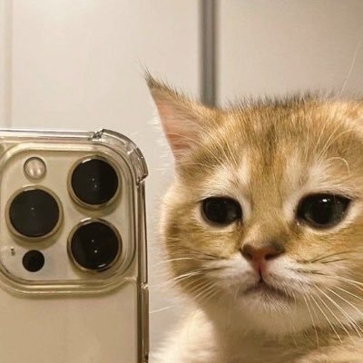 soumarkh's profile picture. !