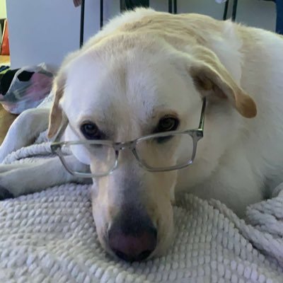 Pjtrades2's profile picture. I can do all things through Christ who strengthens me!