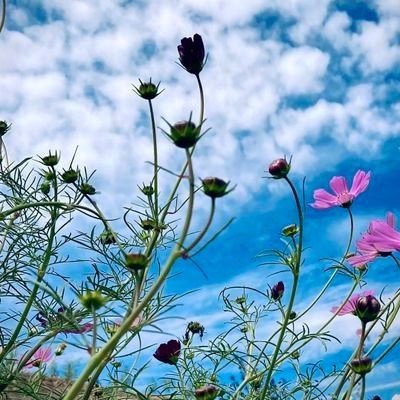 8p4a58's profile picture. Legend I am.