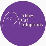 Abbey Cat Adoptions(@AbbeycatAdopt) 's Twitter Profile Photo