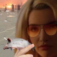 це лягушкі ✙ (@funny_friday) 's Twitter Profile