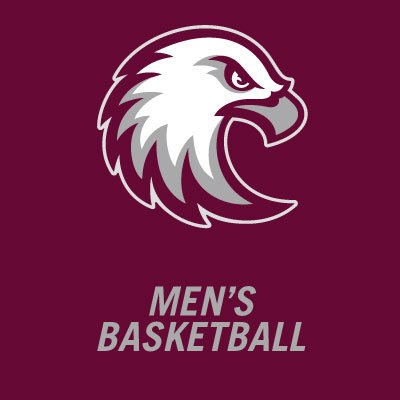 Augsburg Basketball